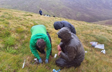 Ramon entomological team received a TA fund to visit the Cairngorms LTER site