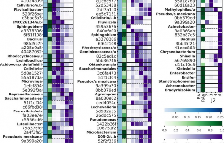 Bacterial Community Structure Dynamics in Meloidogyne incognita-Infected Roots and Its Role in Worm-Microbiome Interactions