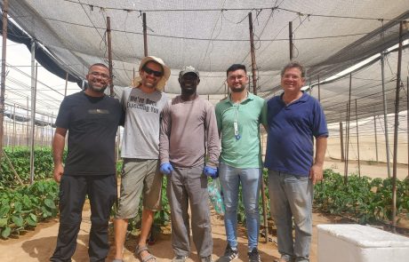 Cultivating Agricultural Innovation in the Arava: Unleashing Probiotics for Sustainable Farming