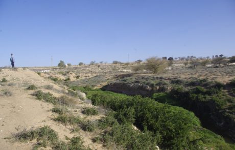 Ancient runoff harvesting agriculture in the arid Beer Sheva Valley, Israel:  An interdisciplinary study