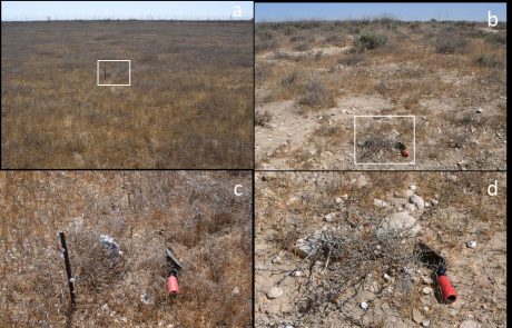 Geodiversity effects on soil quality and geo-ecosystem functioning in drylands